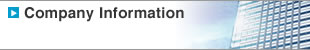 Company Information