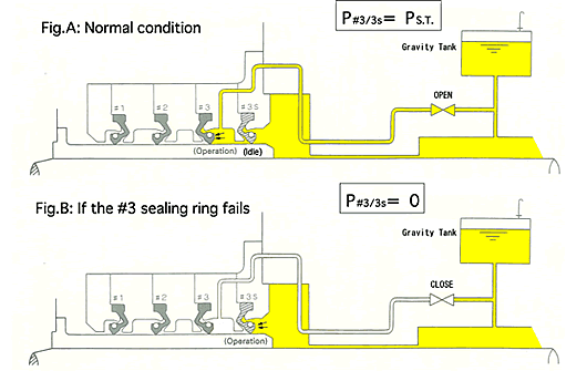 Compact Seal